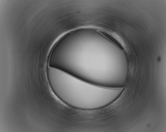 X0000097631100200802290838