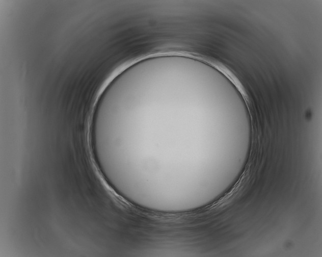 X0000097631101200802290838