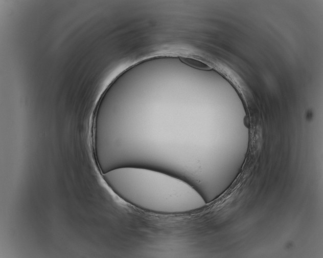 X0000097631103200802290838