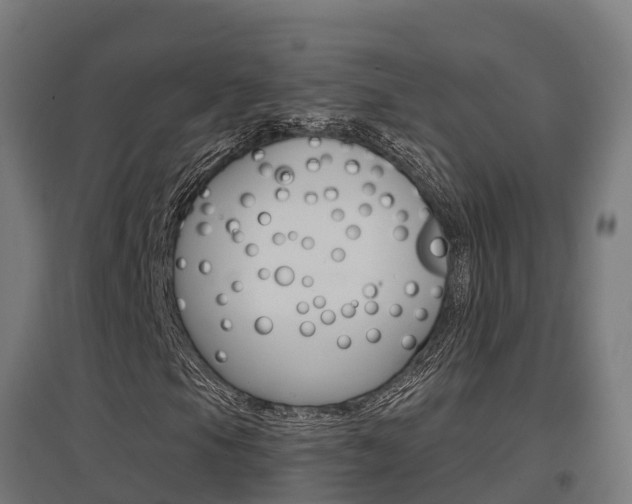 X0000097631105200802290837