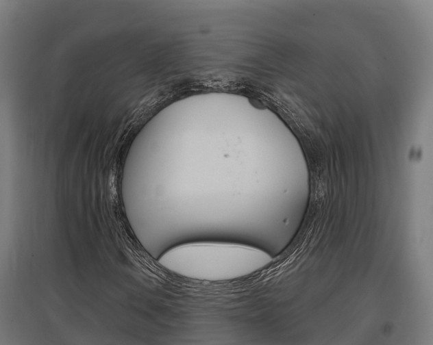 X0000097631106200802290837