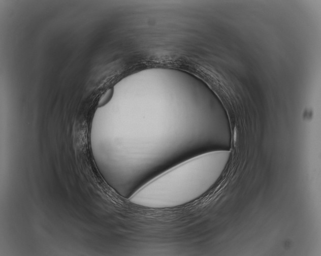 X0000097631107200802290837