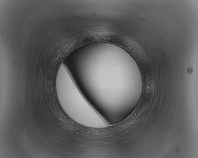 X0000097631108200802290837