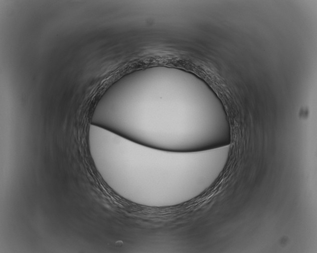 X0000097631109200802290837