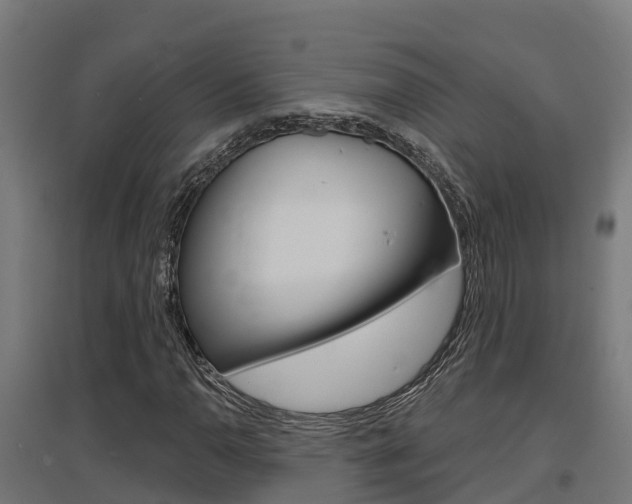 X0000097631110200802290837
