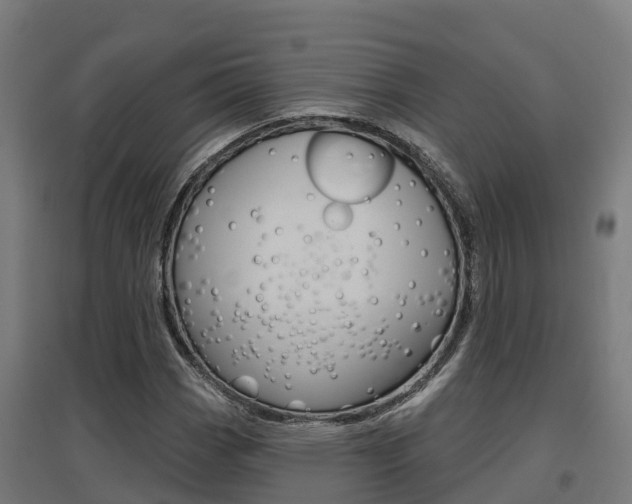 X0000097631113200802290837