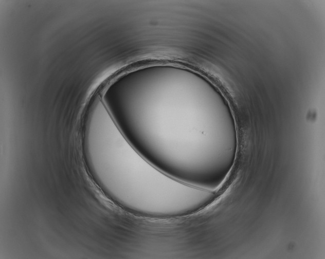 X0000097631114200802290837