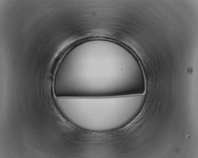 X0000097631115200802290837