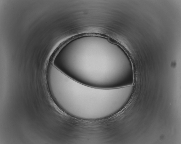 X0000097631116200802290837