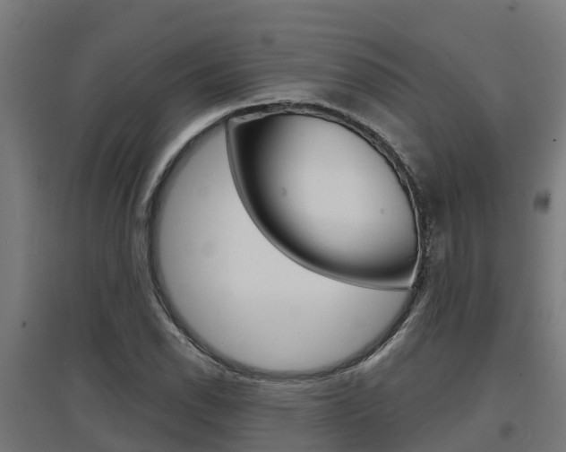X0000097631118200802290837
