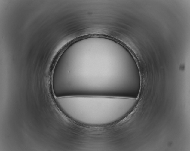 X0000097631119200802290837
