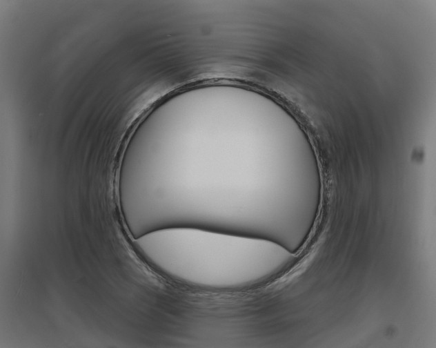 X0000097631121200802290837