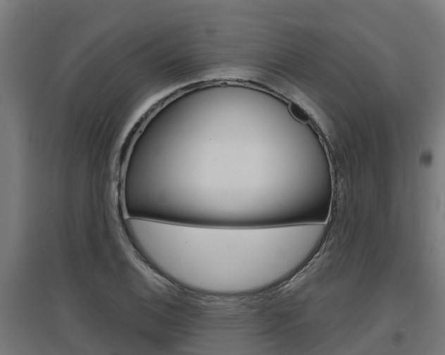 X0000097631124200802290837