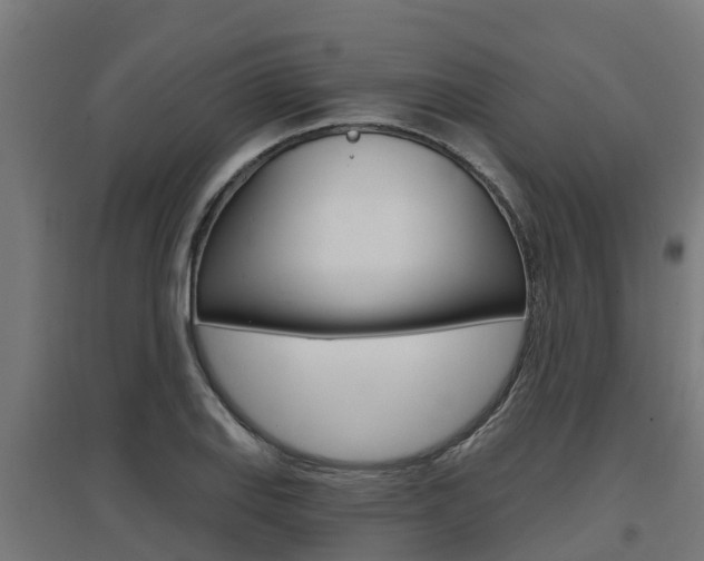 X0000097631127200802290837