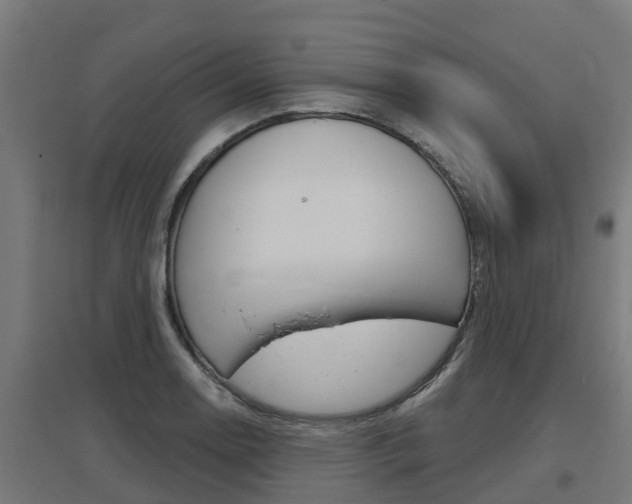 X0000097631130200802290837