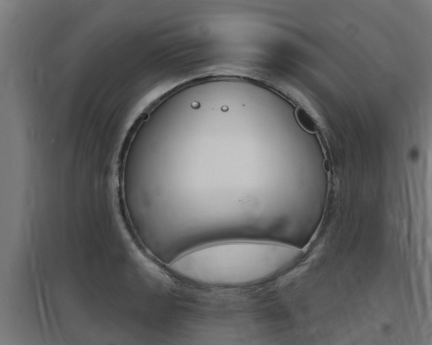 X0000097631133200802290837