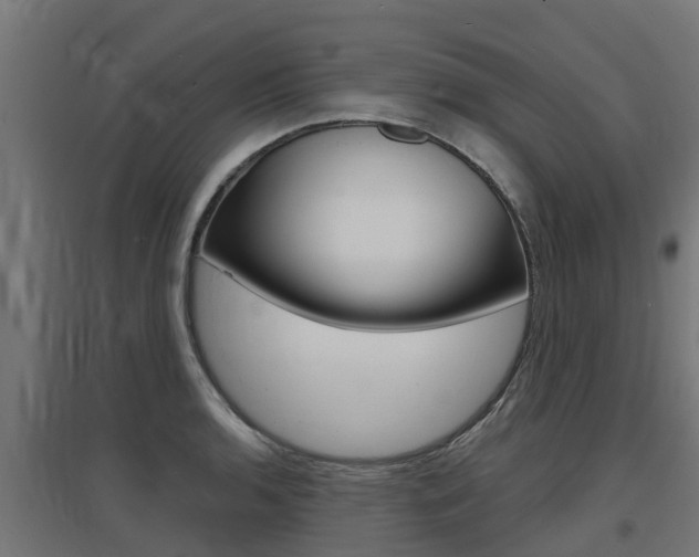 X0000097631136200802290837