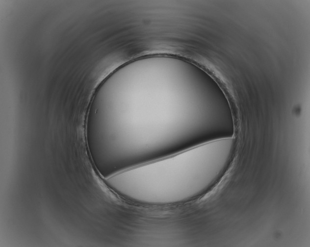 X0000097631137200802290837