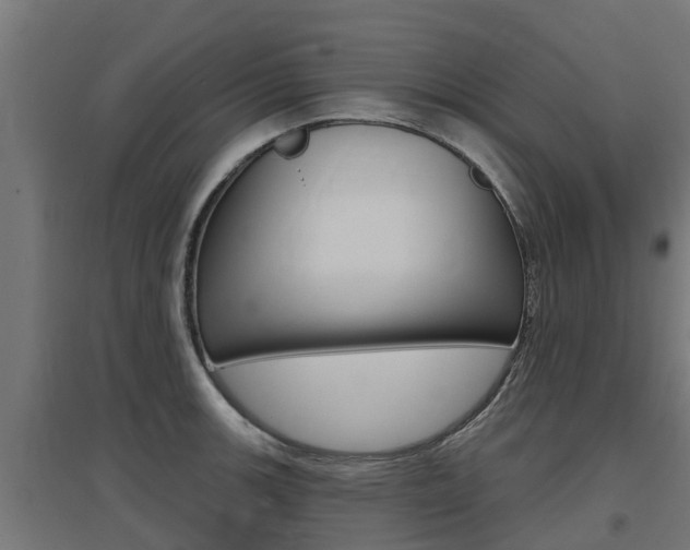 X0000097631139200802290837