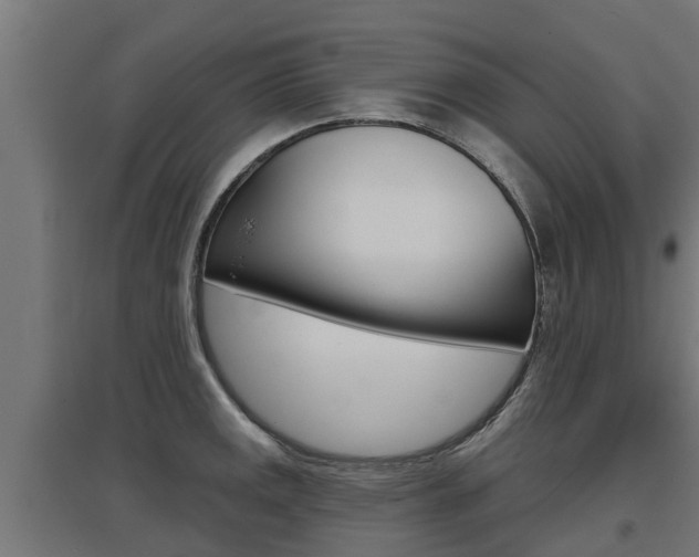 X0000097631141200802290838