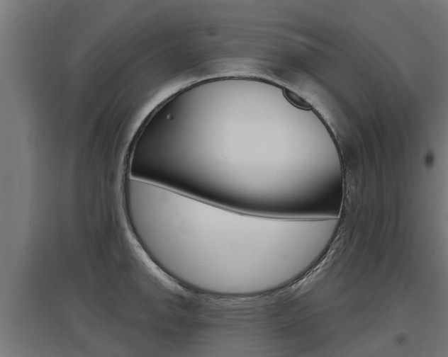X0000097631142200802290838