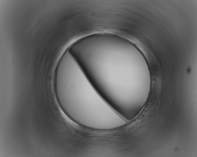 X0000097631143200802290838