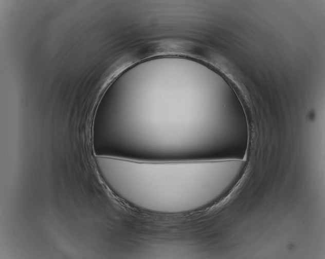 X0000097631145200802290838