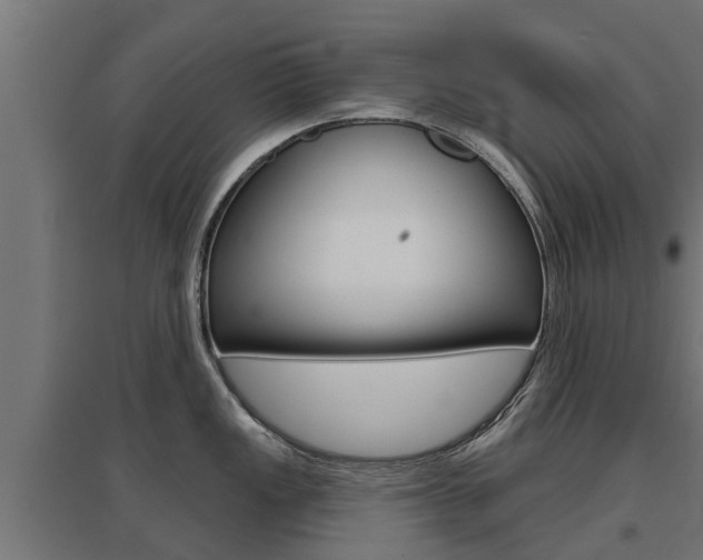 X0000097631149200802290838