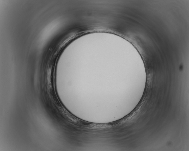 X0000097631150200802290838