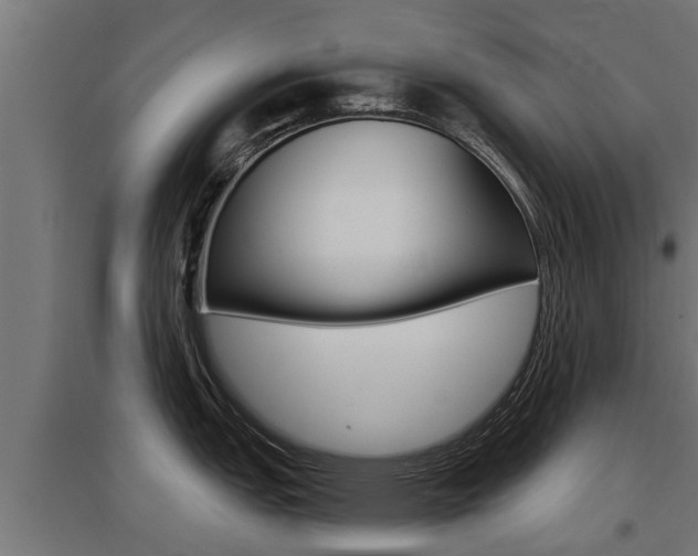 X0000097631151200802290838