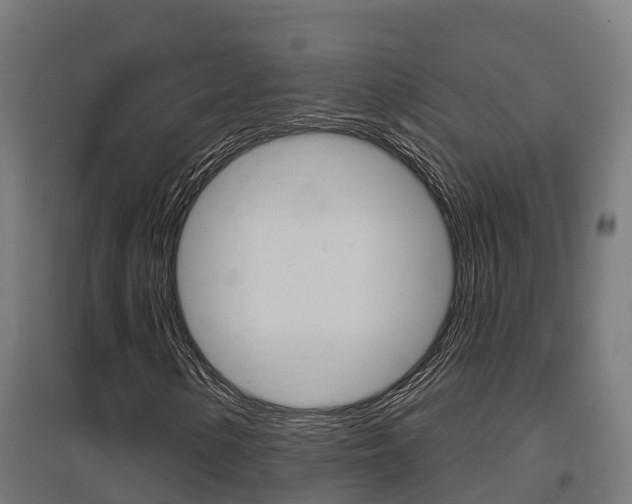 X0000097631154200802290837