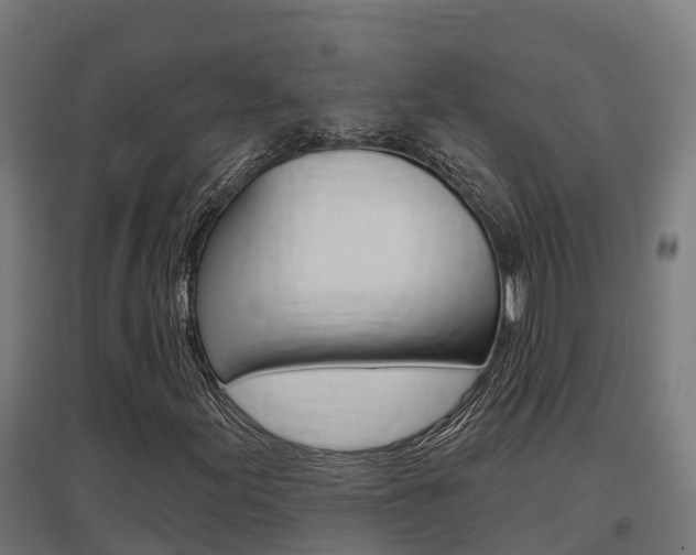 X0000097631155200802290837