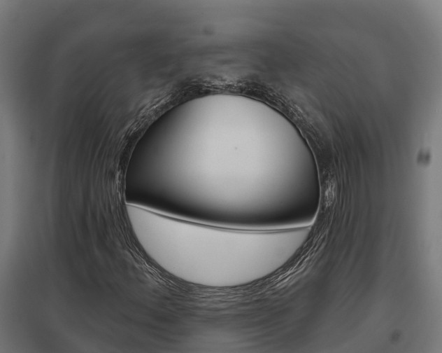 X0000097631156200802290837