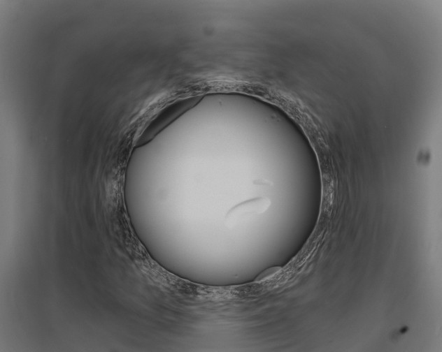 X0000097631157200802290837