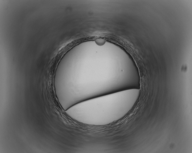 X0000097631158200802290837