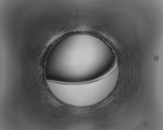 X0000097631160200802290837