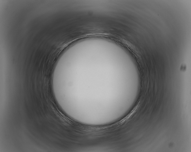 X0000097631161200802290837