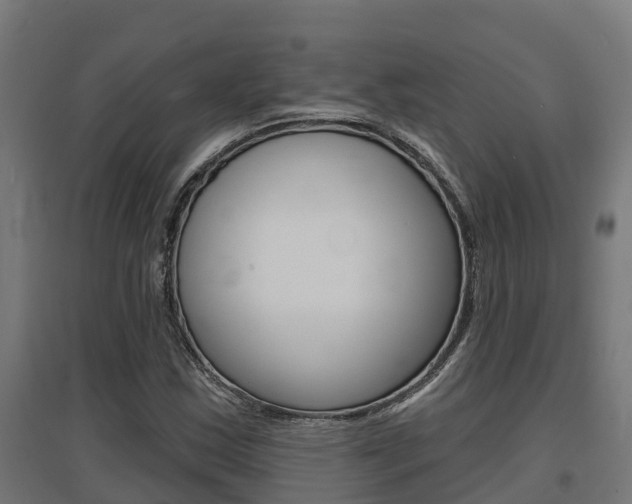 X0000097631163200802290837