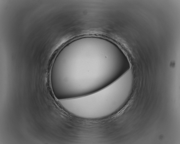 X0000097631165200802290837