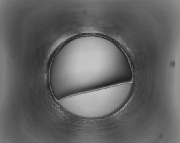 X0000097631167200802290837