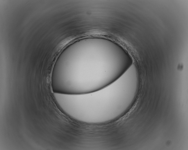 X0000097631169200802290837