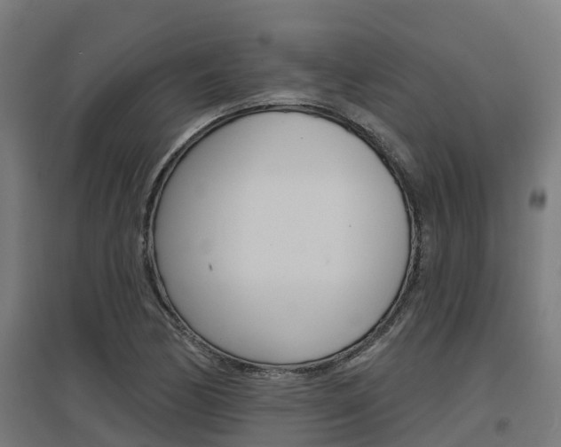 X0000097631170200802290837
