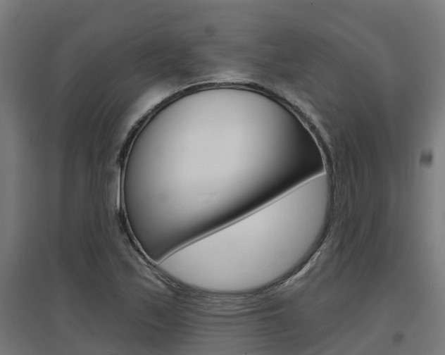 X0000097631171200802290837