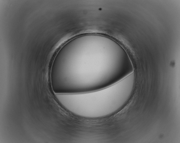 X0000097631173200802290837