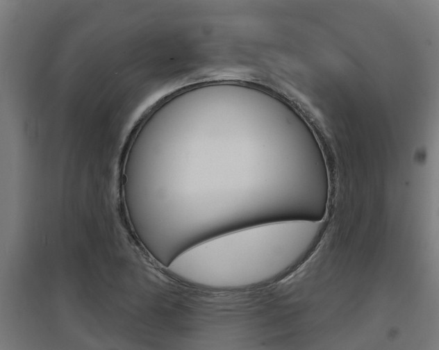 X0000097631174200802290837