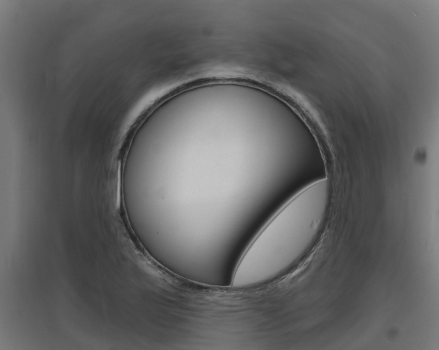 X0000097631175200802290837