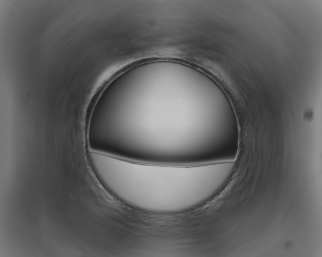 X0000097631176200802290837