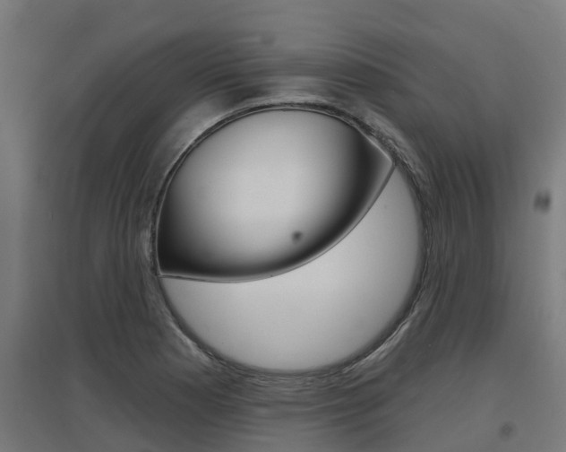 X0000097631177200802290837