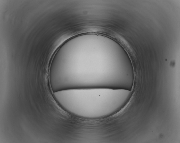 X0000097631178200802290837