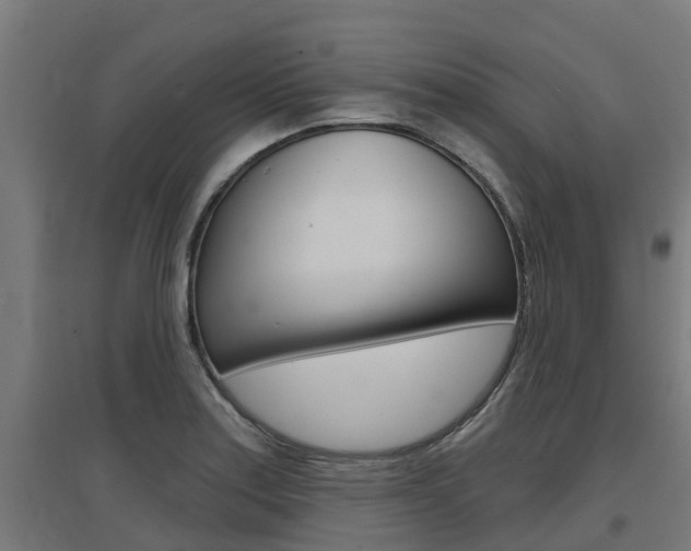 X0000097631179200802290837